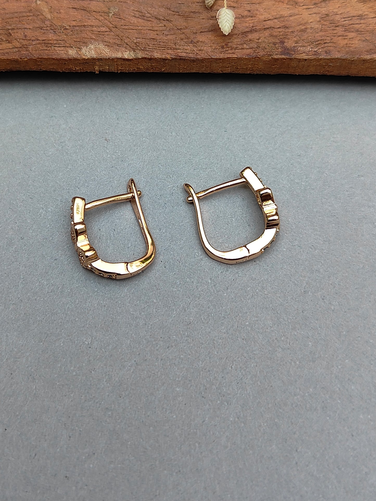 Dia hoop earrings